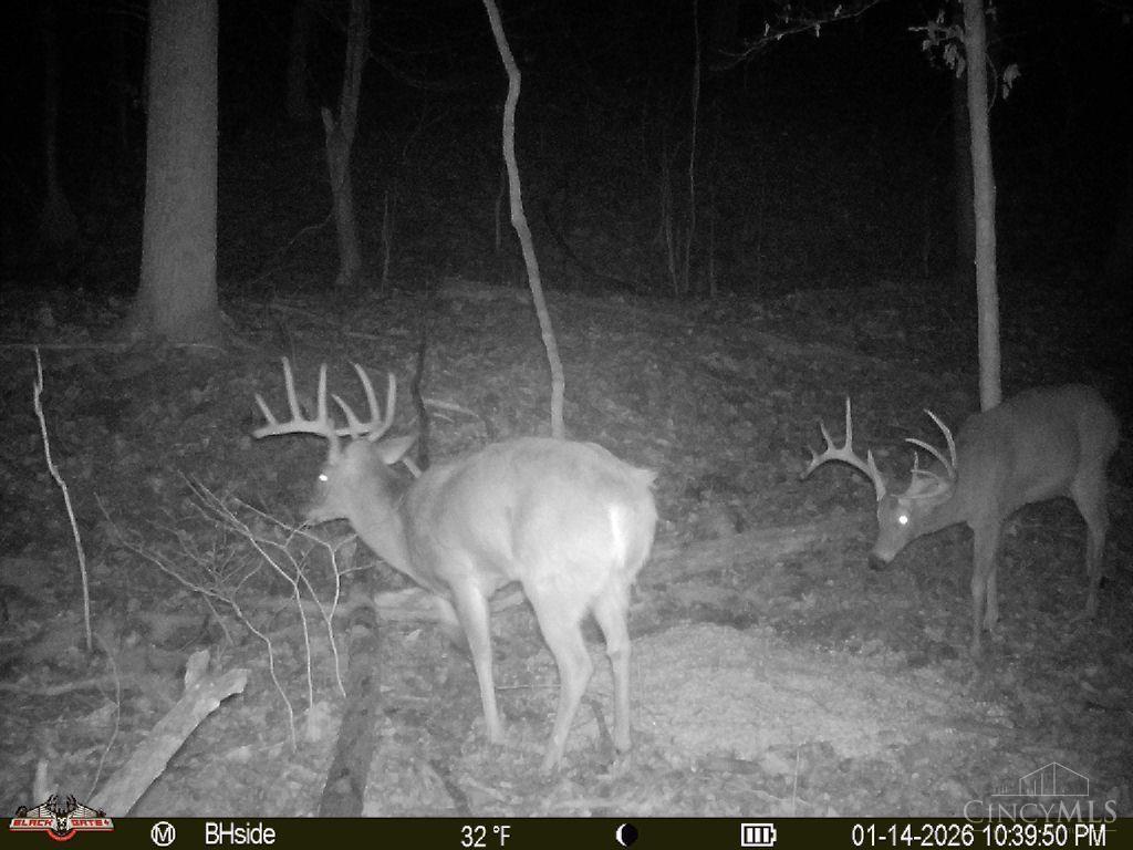 S Side Chenoweth Fork Road Property Photo 10