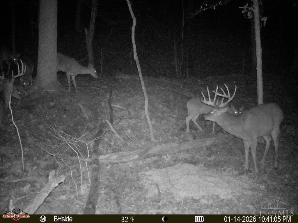 S Side Chenoweth Fork Road Property Photo 11