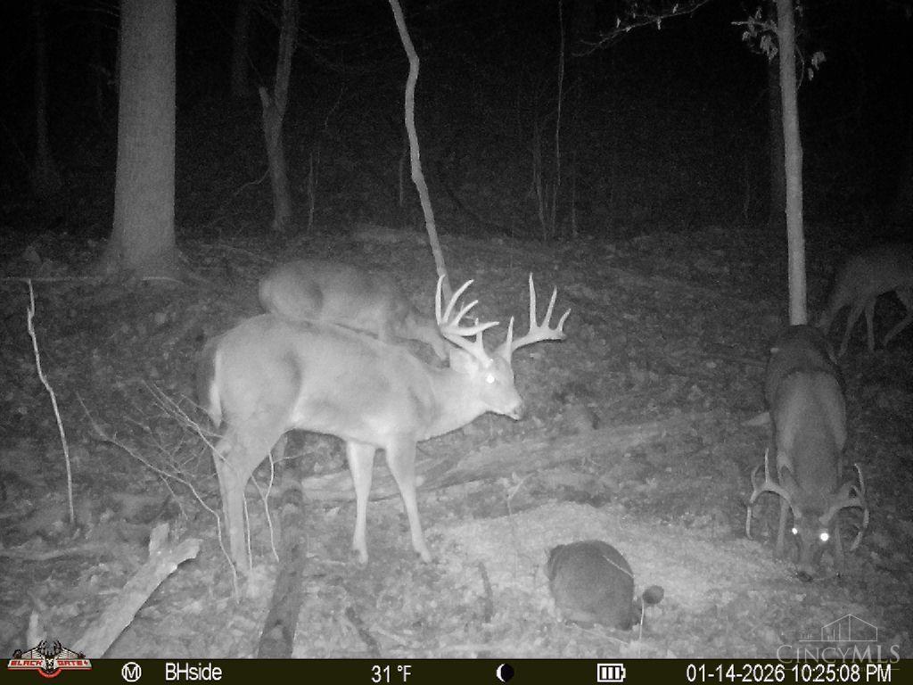 S Side Chenoweth Fork Road Property Photo 12