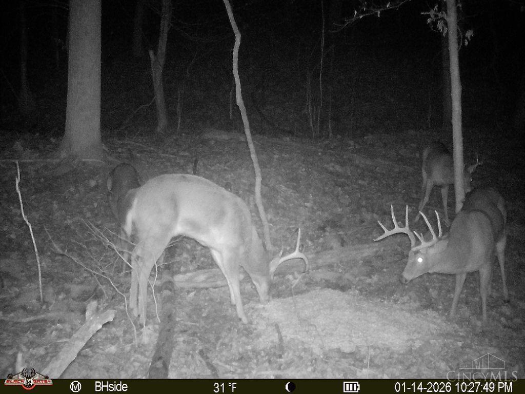 S Side Chenoweth Fork Road Property Photo 13
