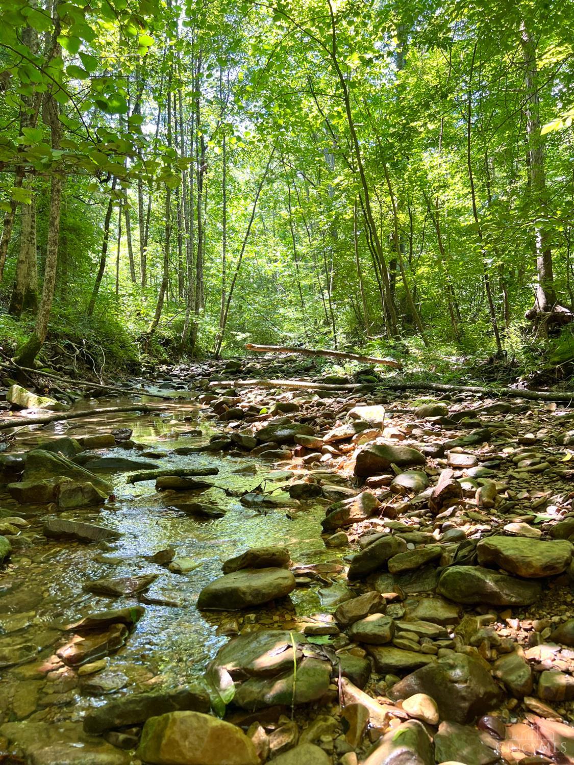 S Side Chenoweth Fork Road Property Photo 26