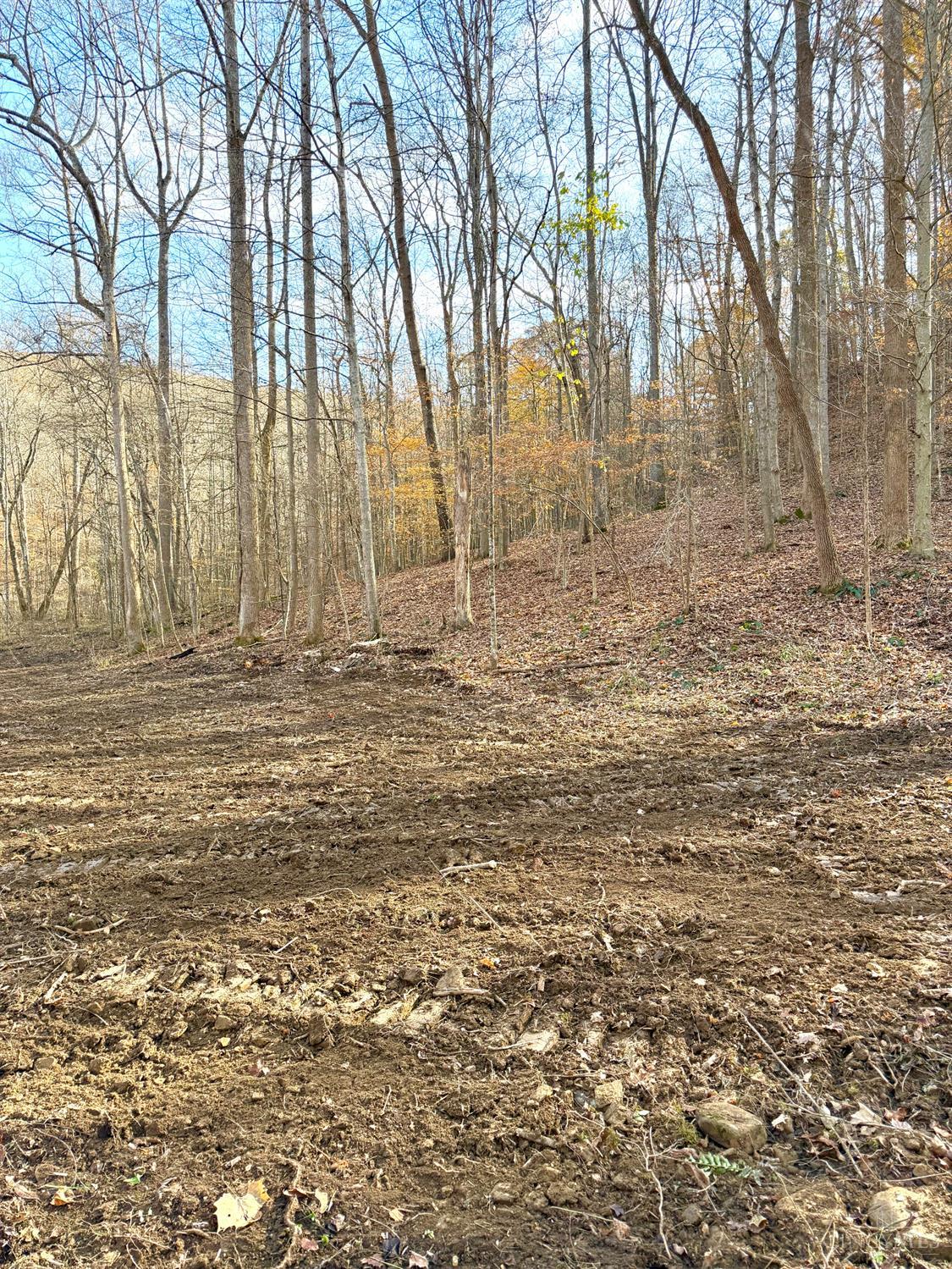S Side Chenoweth Fork Road Property Photo 30