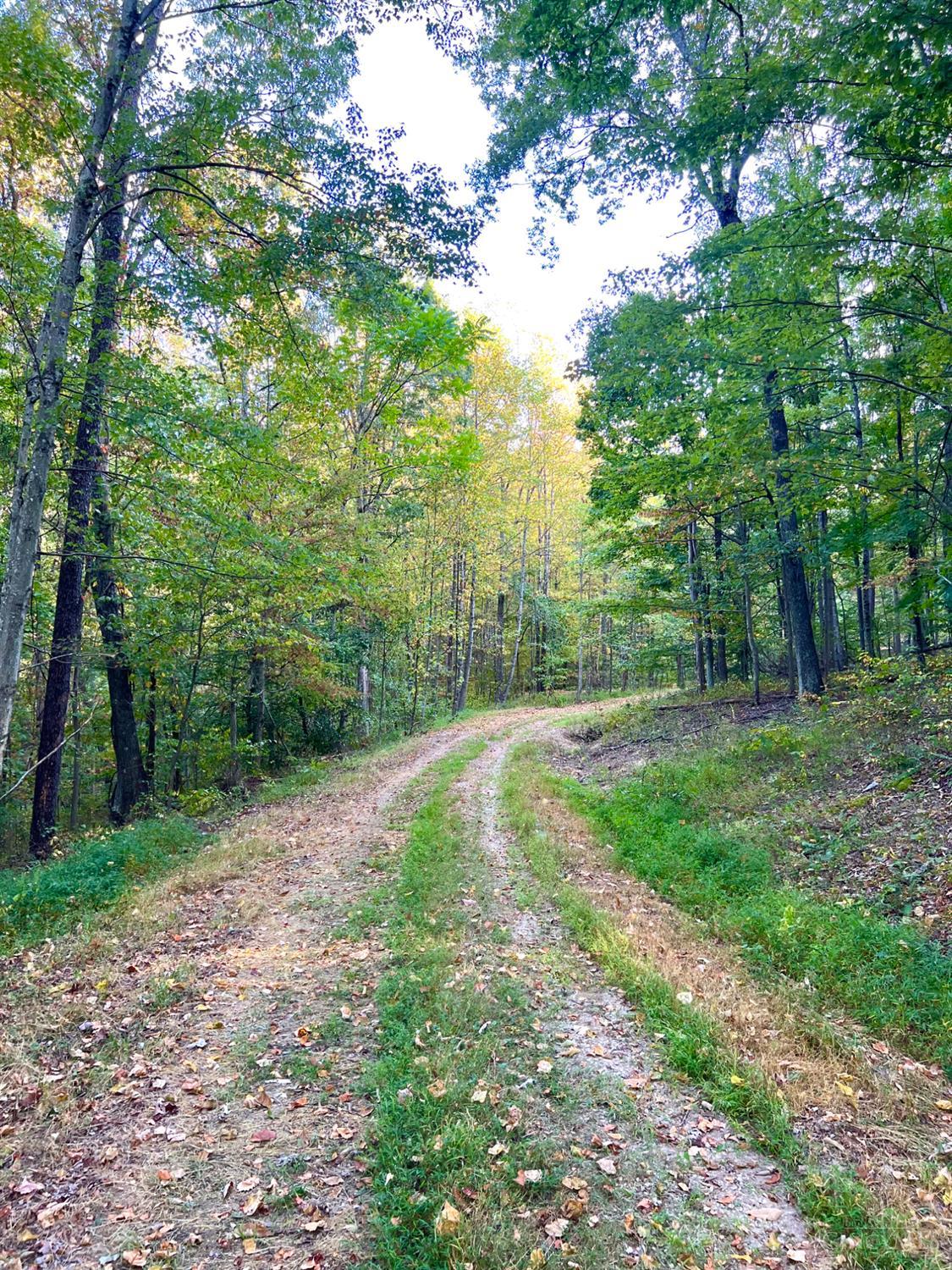 S Side Chenoweth Fork Road Property Photo 32