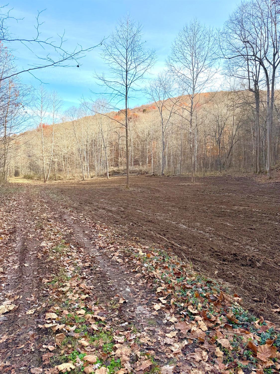 S Side Chenoweth Fork Road Property Photo 38