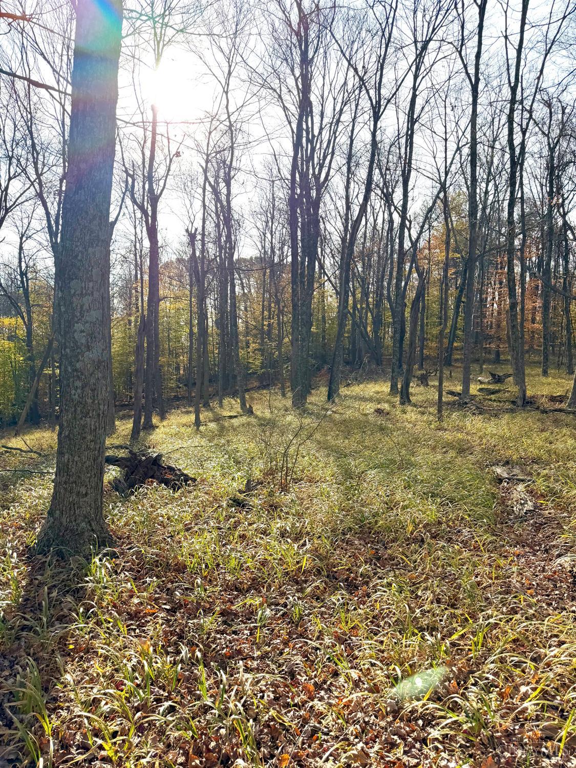 S Side Chenoweth Fork Road Property Photo 39