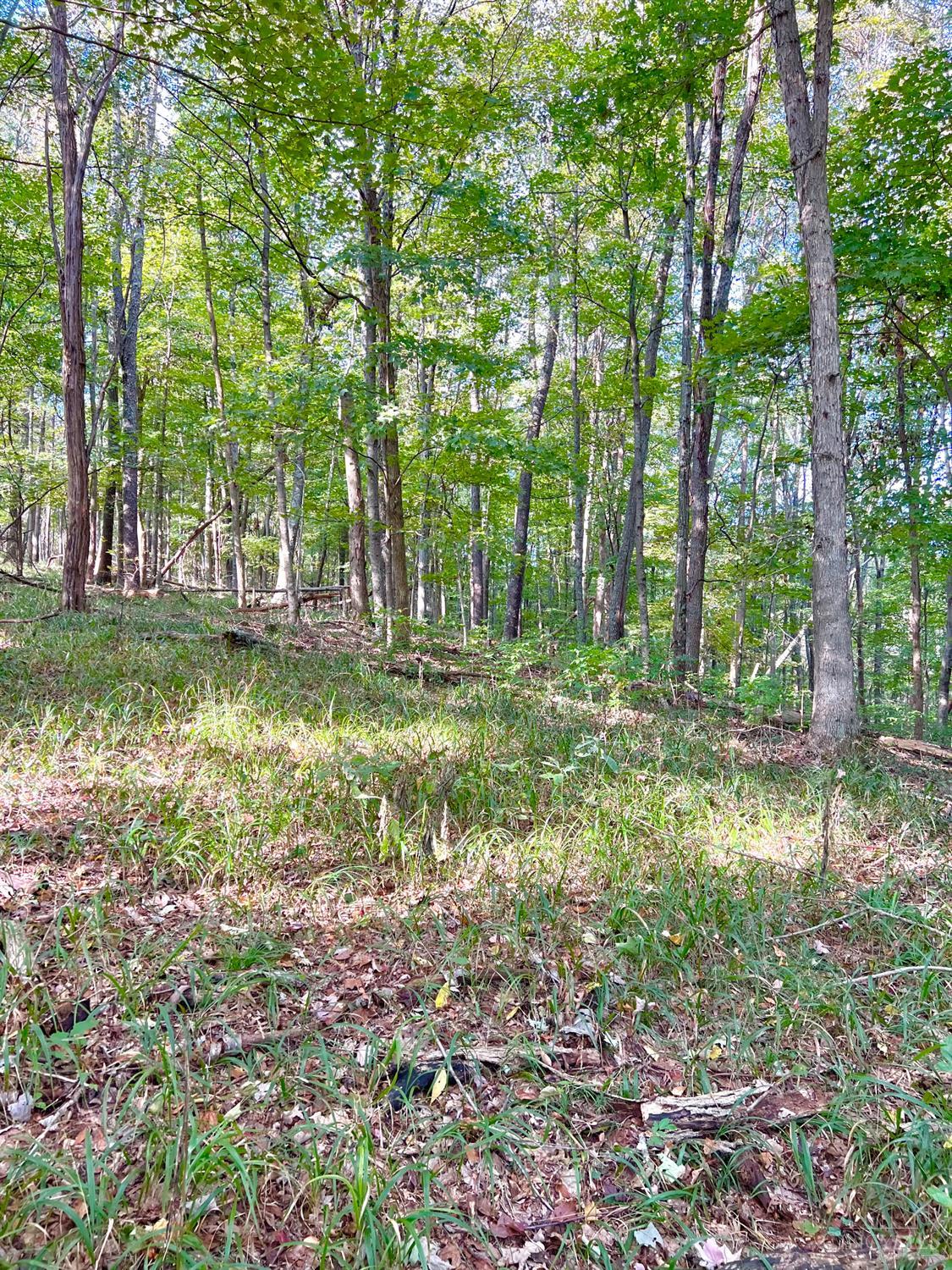 S Side Chenoweth Fork Road Property Photo 40