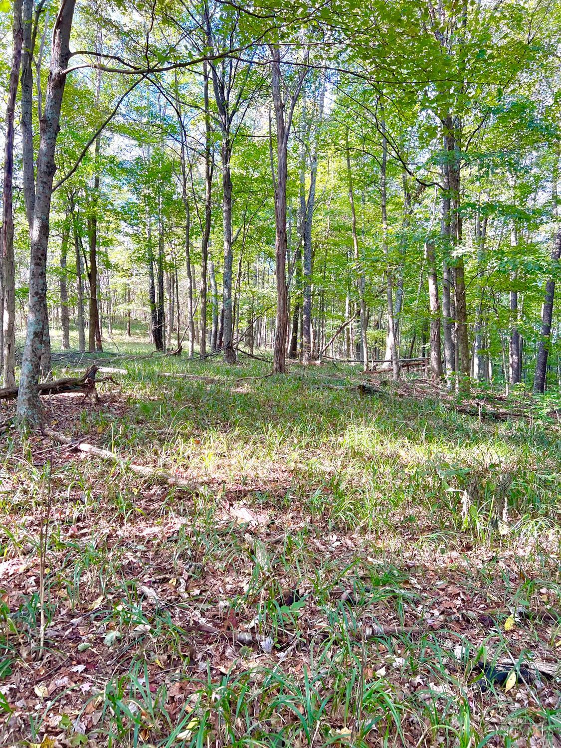 S Side Chenoweth Fork Road Property Photo 41