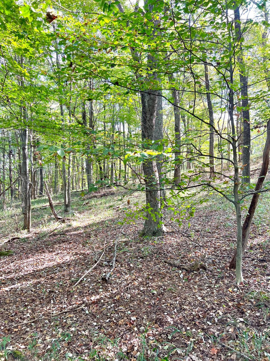 S Side Chenoweth Fork Road Property Photo 43