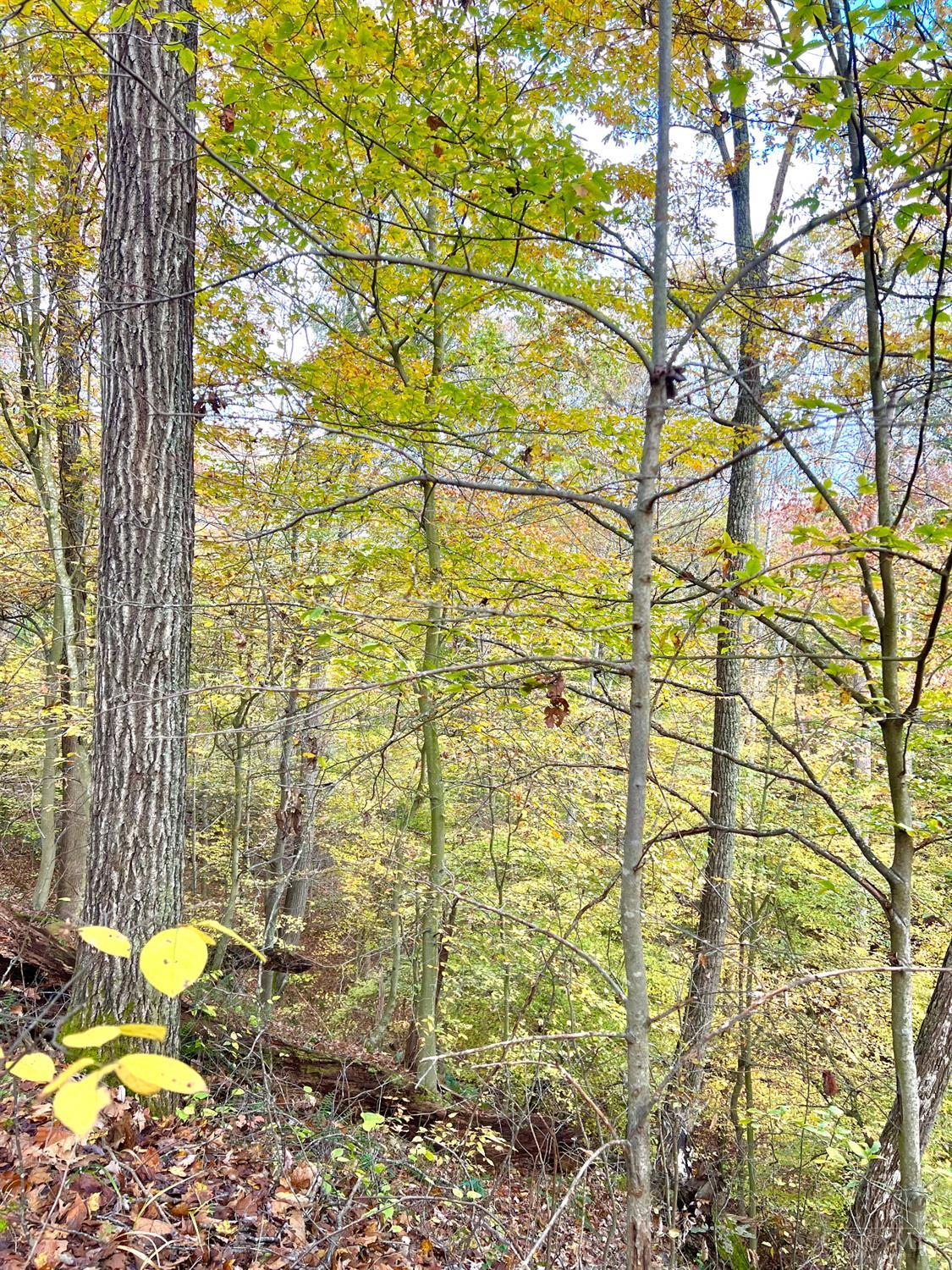 S Side Chenoweth Fork Road Property Photo 47