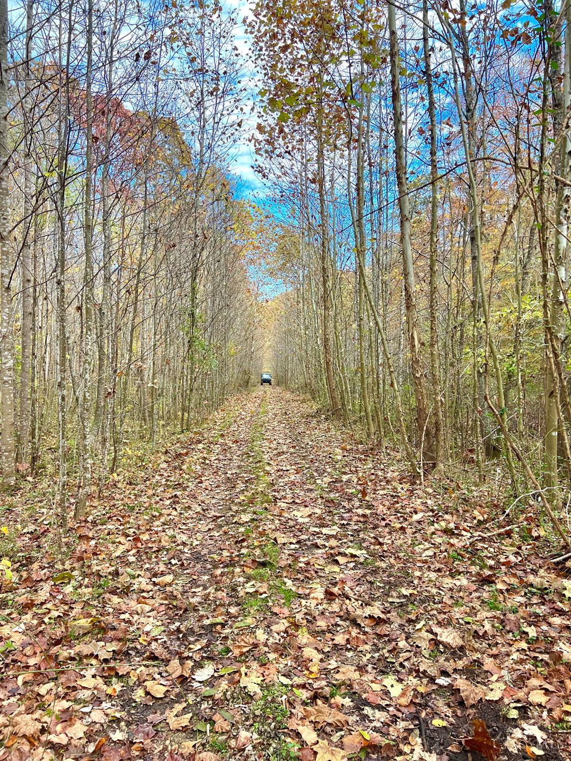 S Side Chenoweth Fork Road Property Photo 49