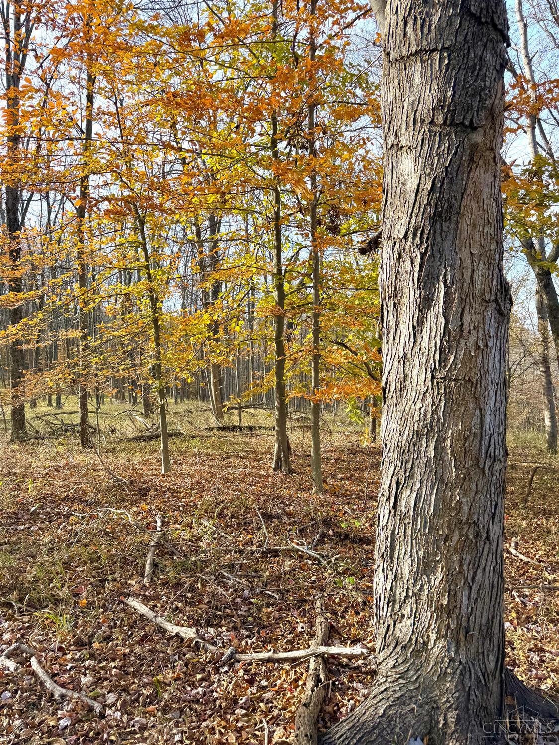 S Side Chenoweth Fork Road Property Photo 53