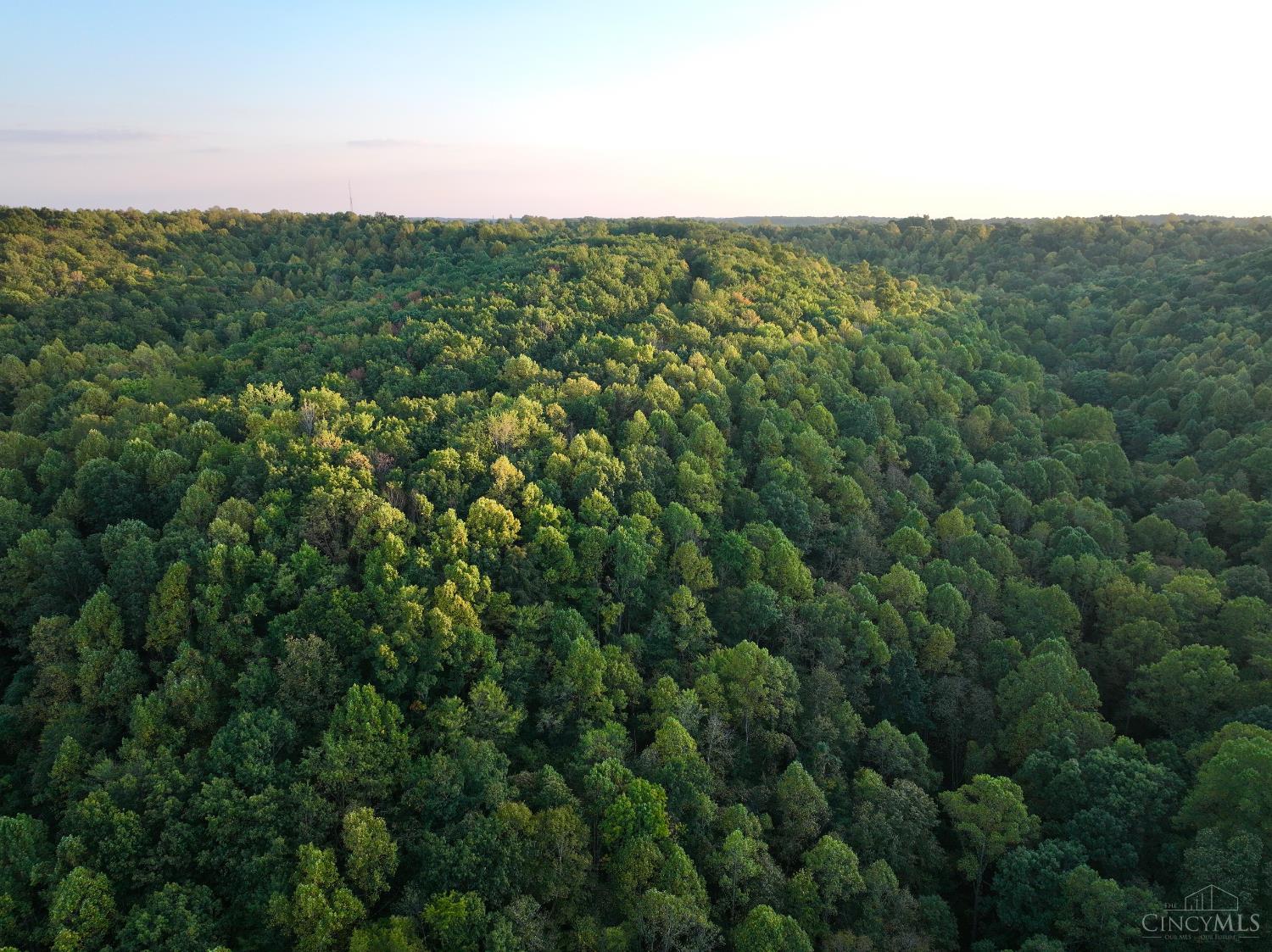 S Side Chenoweth Fork Road Property Photo 55