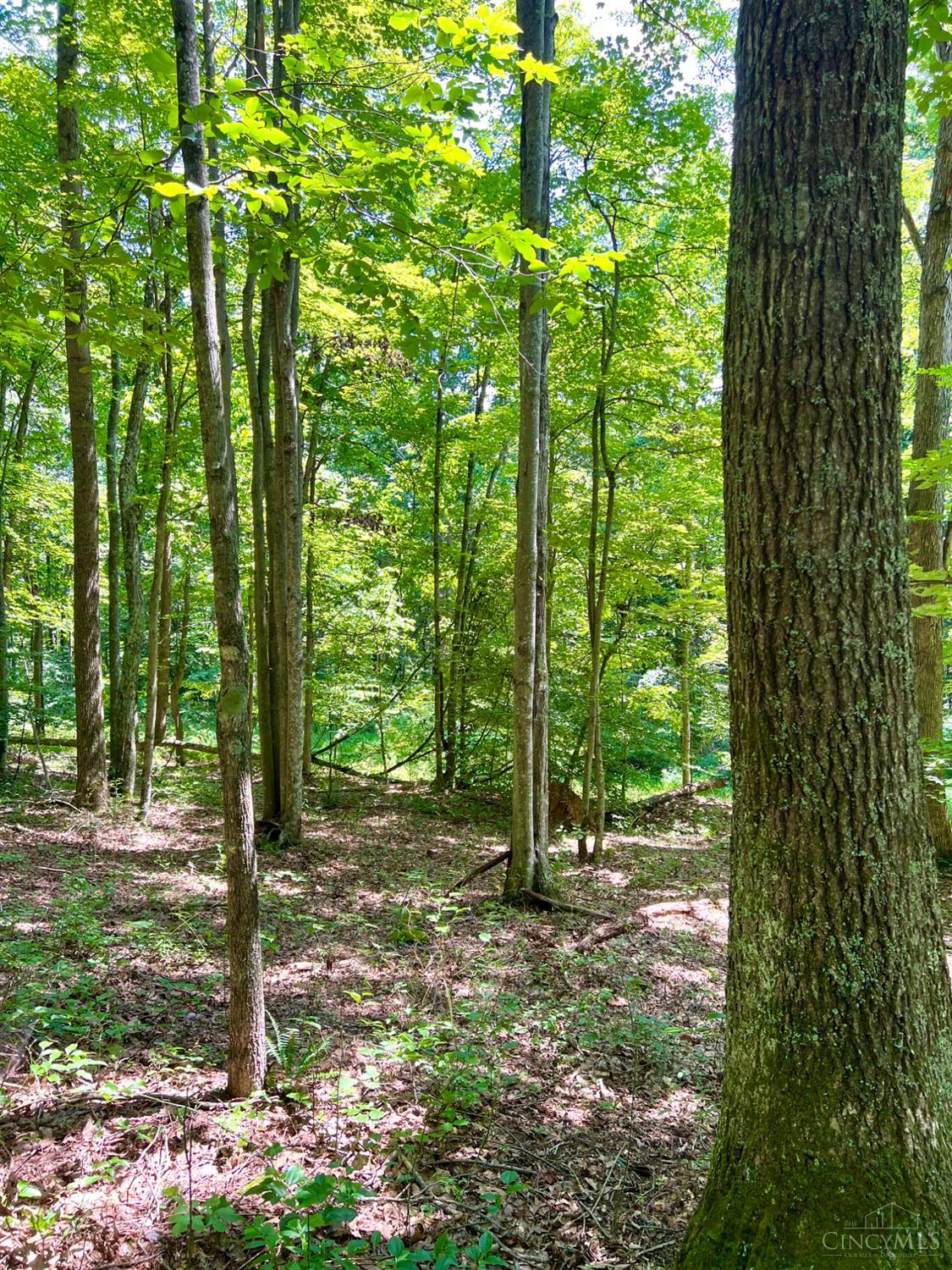 S Side Chenoweth Fork Road Property Photo 58