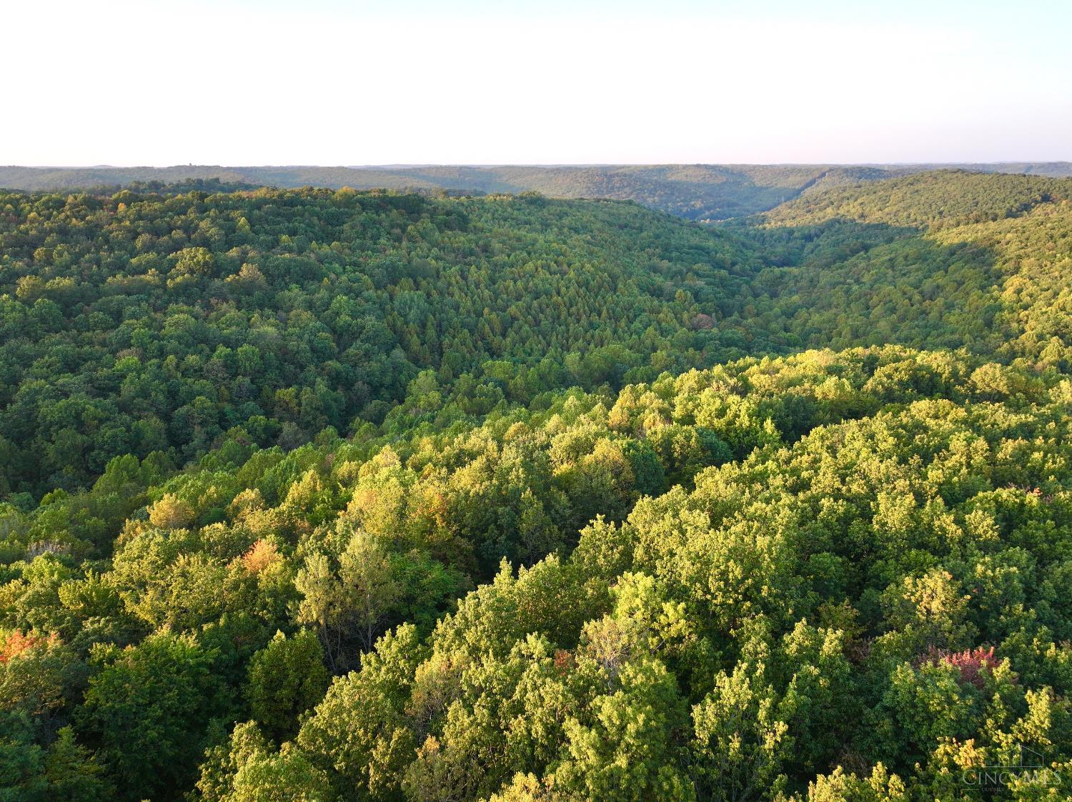 S Side Chenoweth Fork Road Property Photo 63
