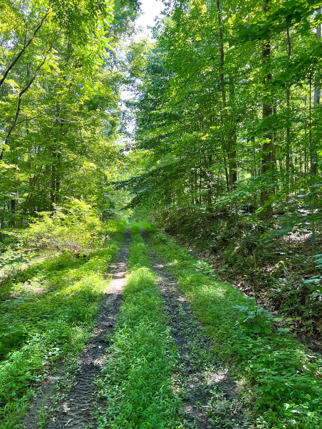 S Side Chenoweth Fork Road Property Photo 68