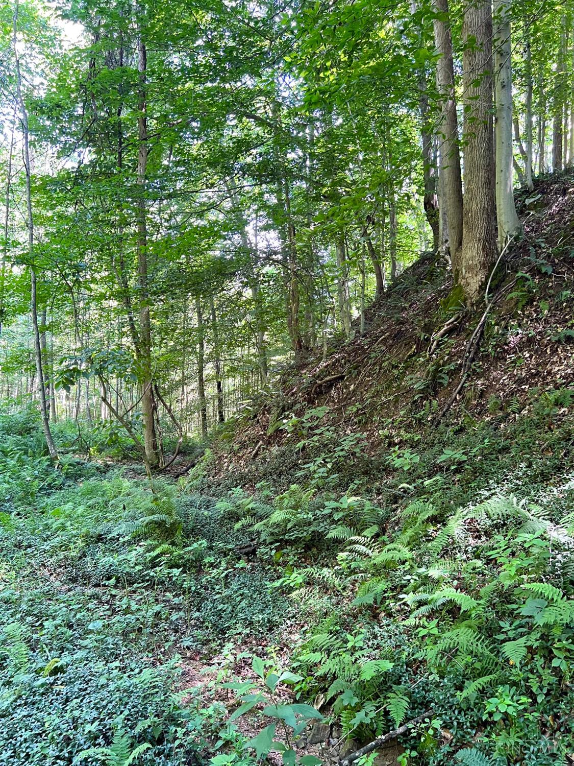 S Side Chenoweth Fork Road Property Photo 71