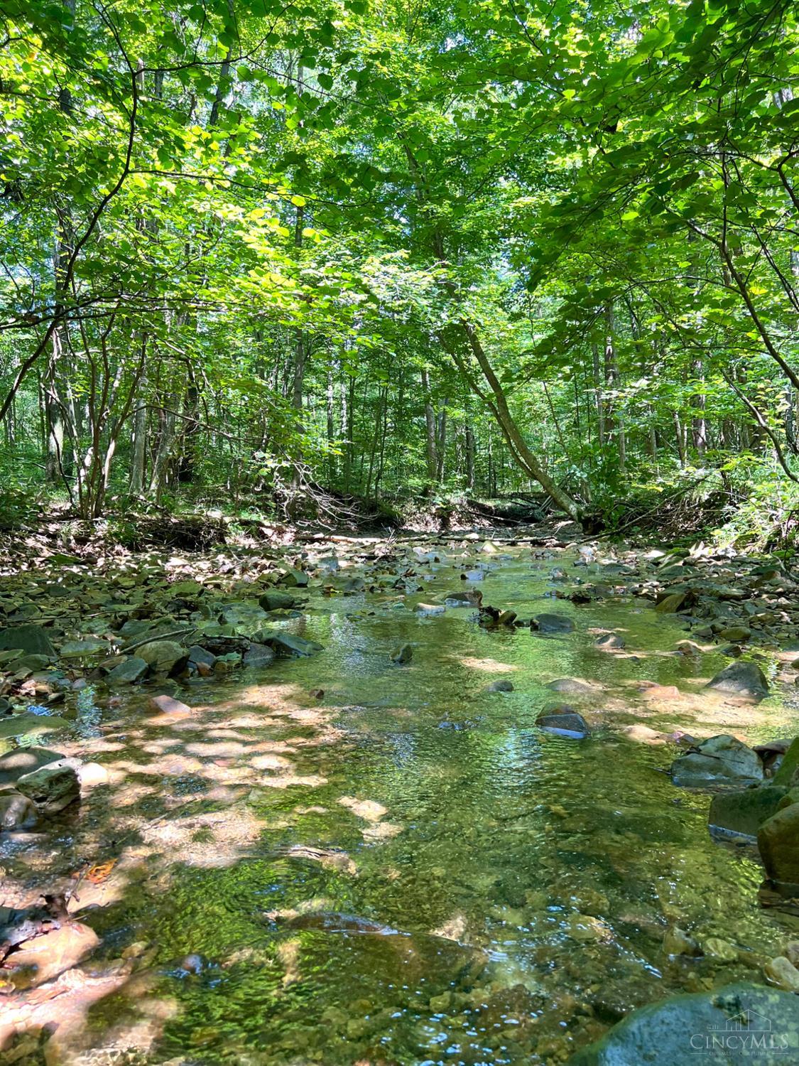 S Side Chenoweth Fork Road Property Photo 73