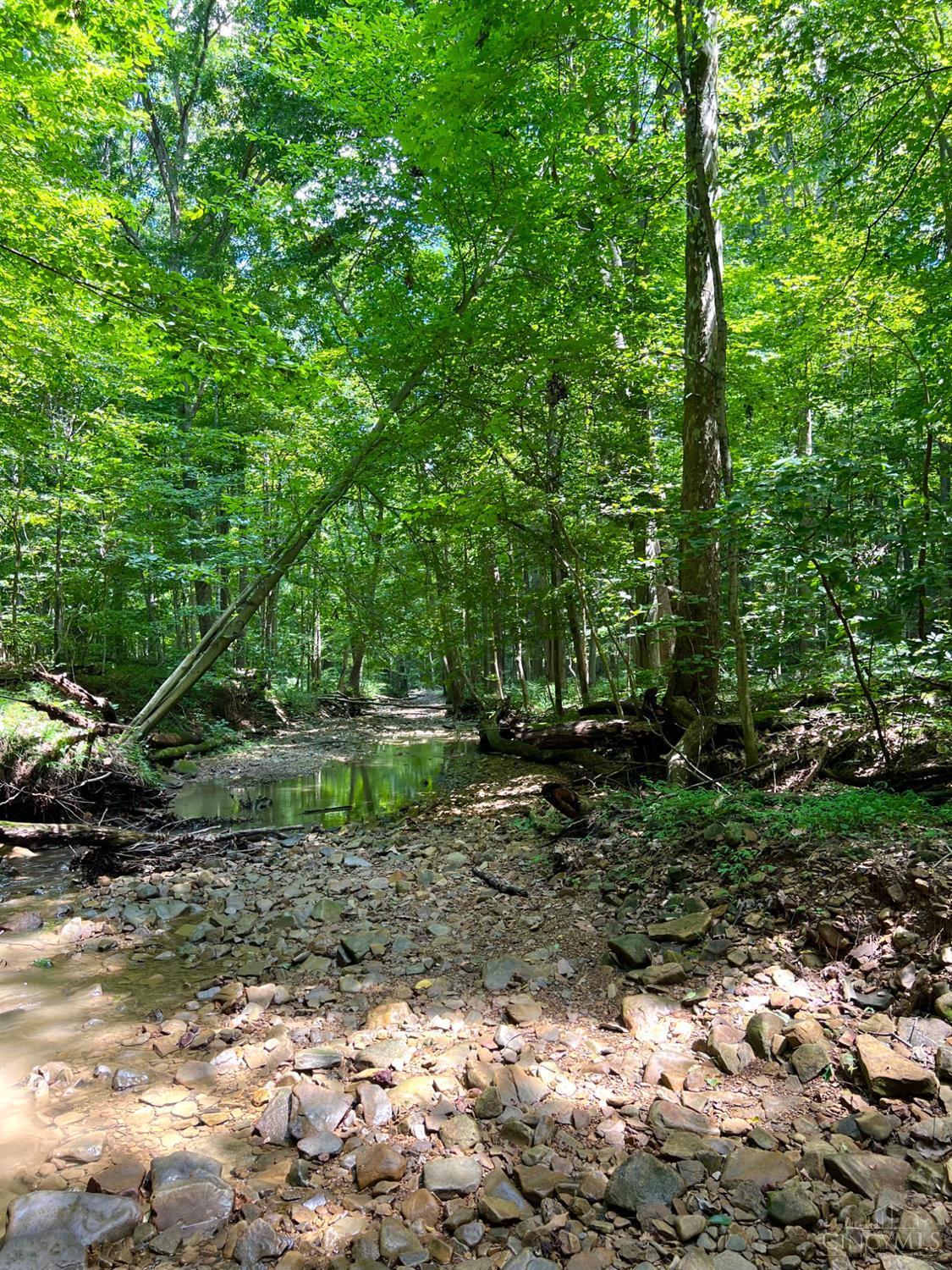 S Side Chenoweth Fork Road Property Photo 76