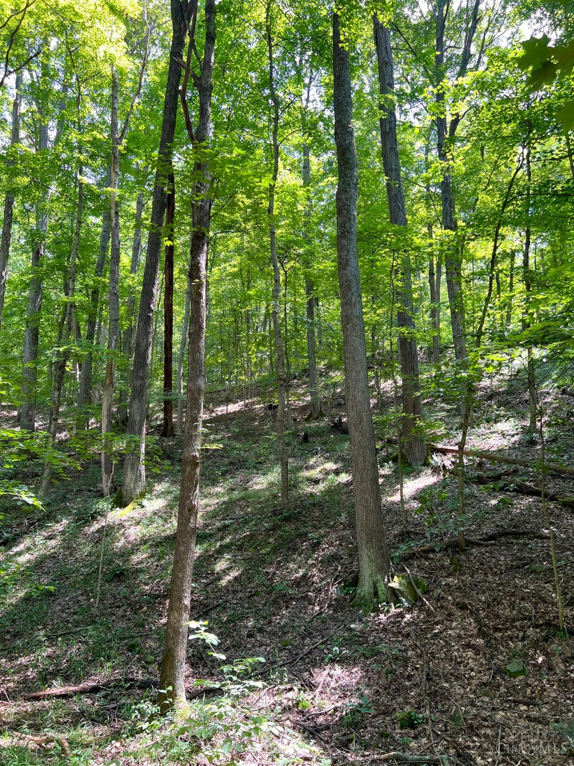 S Side Chenoweth Fork Road Property Photo 80
