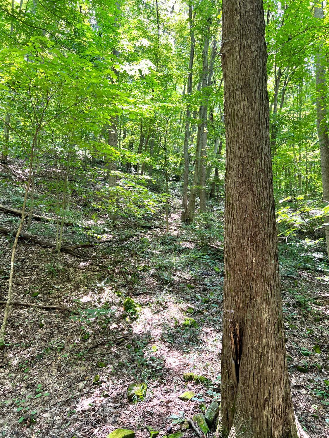 S Side Chenoweth Fork Road Property Photo 81
