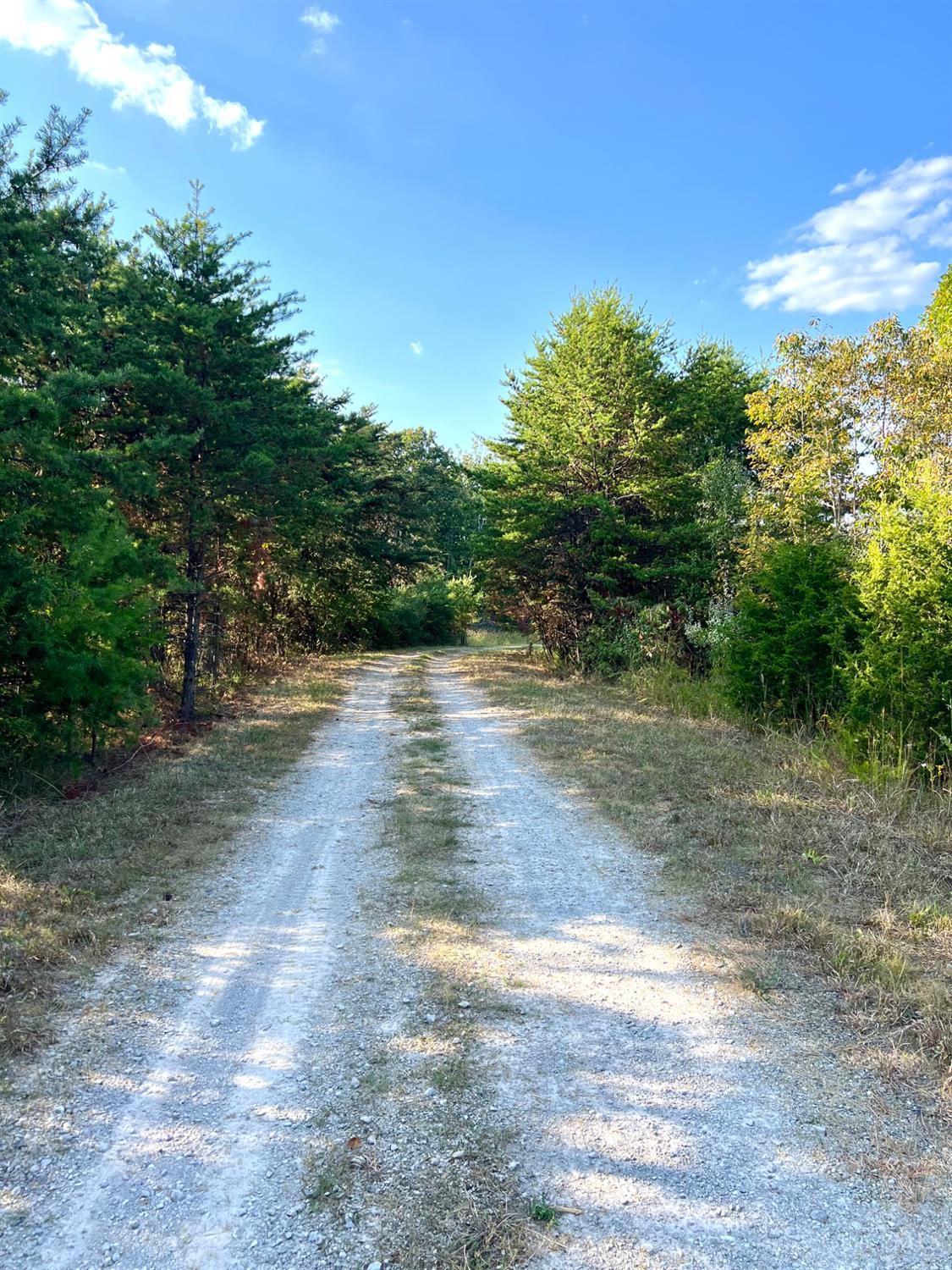 S Side Chenoweth Fork Road Property Photo 86