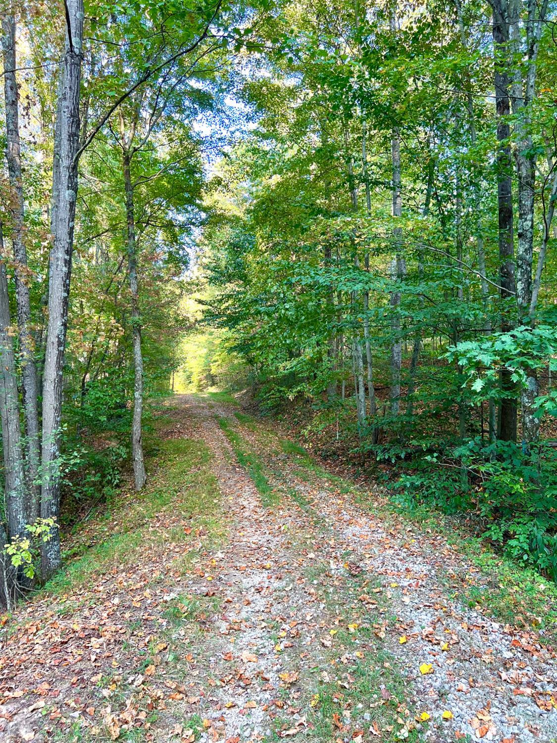 S Side Chenoweth Fork Road Property Photo 91