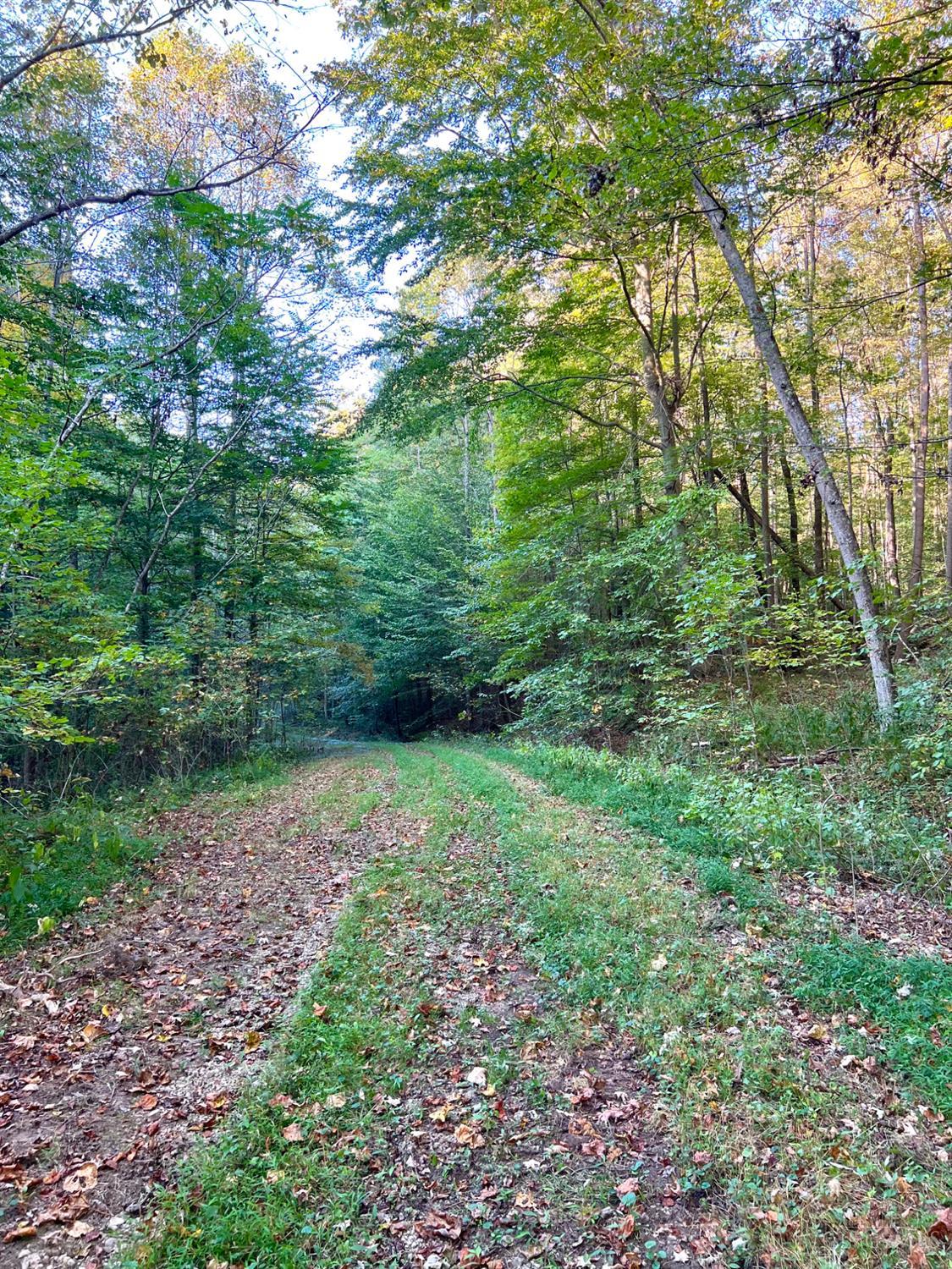 S Side Chenoweth Fork Road Property Photo 93