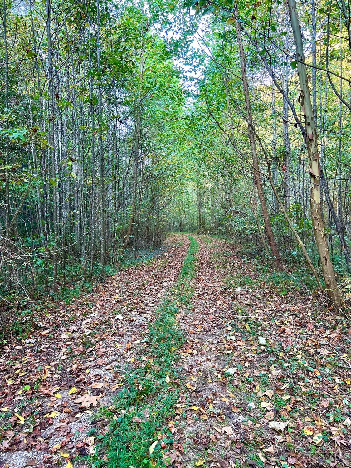S Side Chenoweth Fork Road Property Photo 94