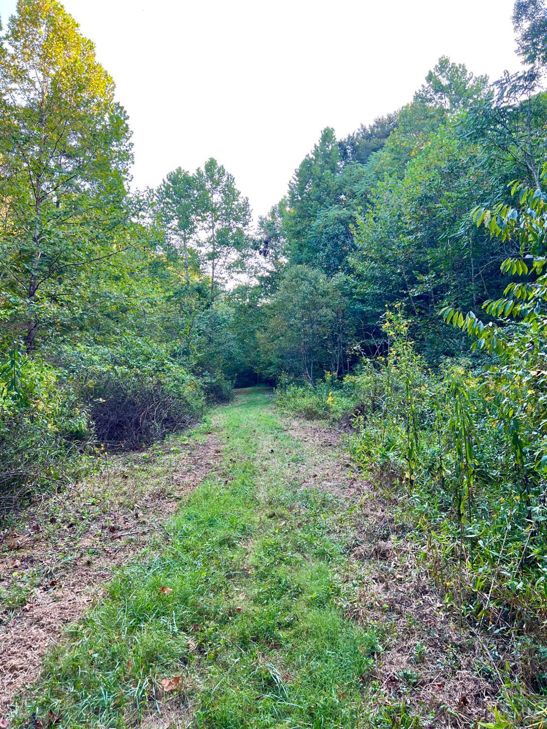 S Side Chenoweth Fork Road Property Photo 95