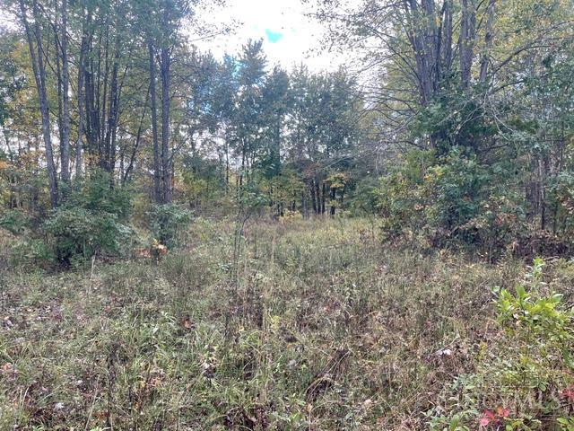 3745 Weaver Road Property Photo 1