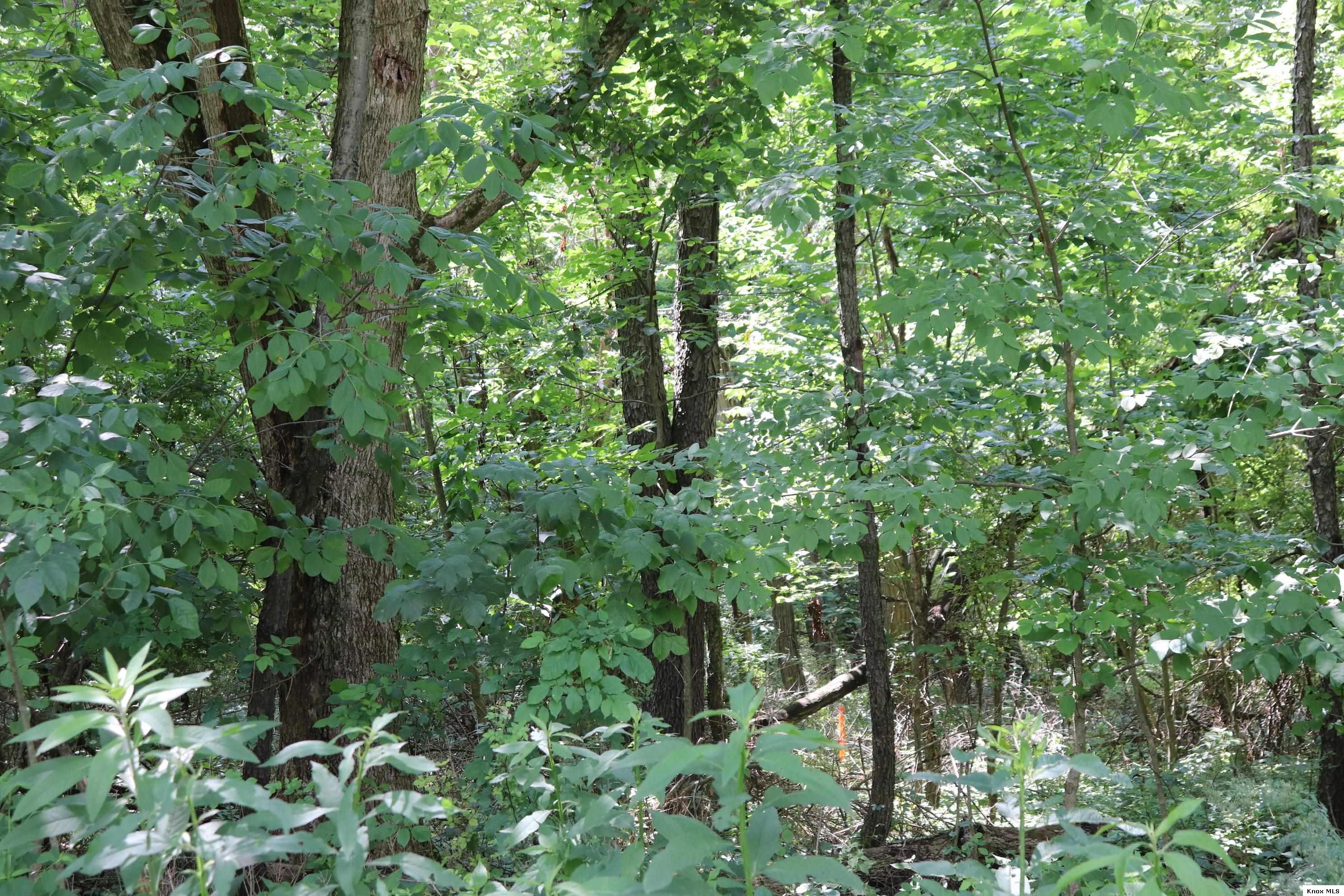 0 Mcintosh Court Property Photo 6
