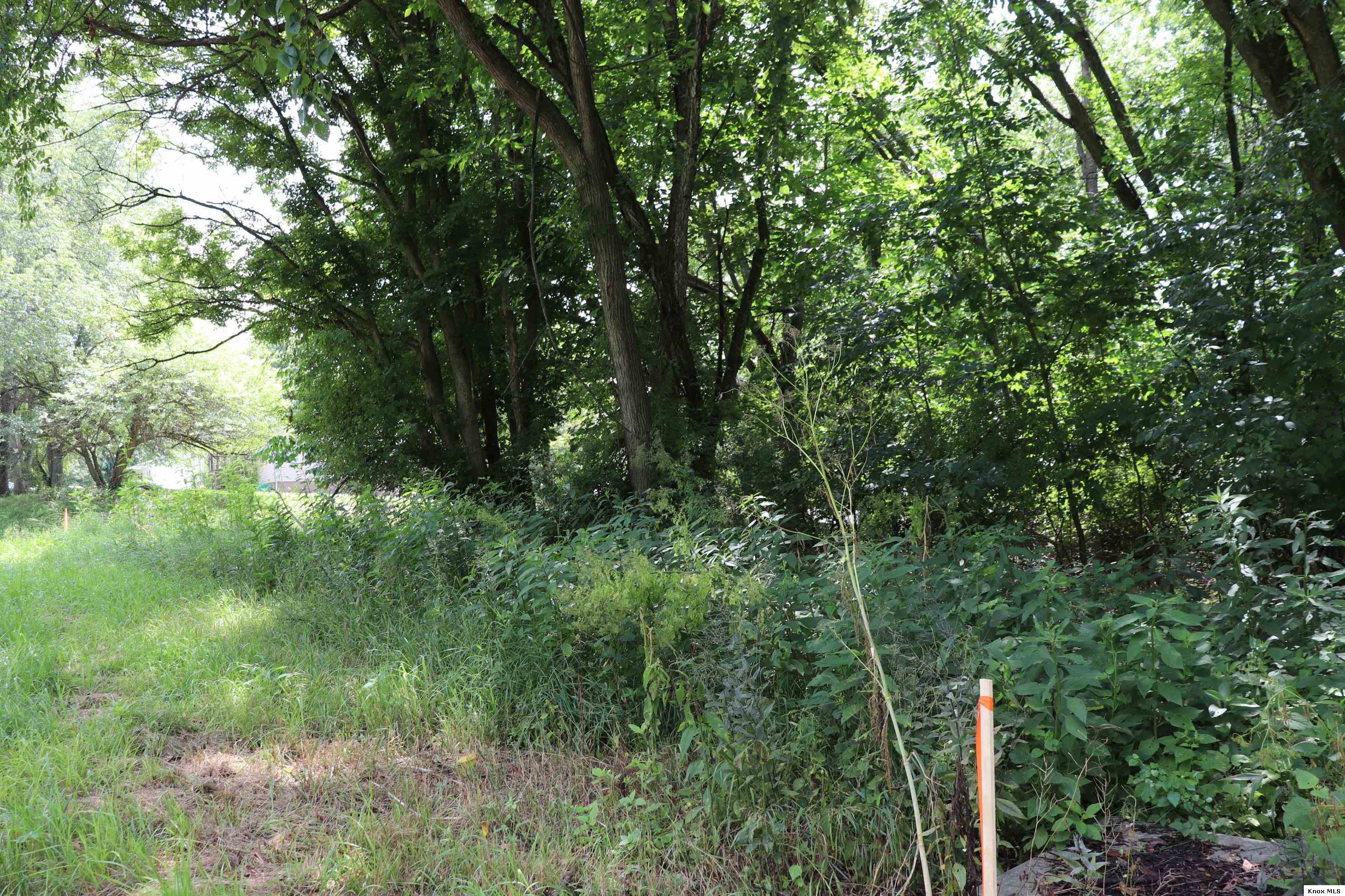 0 Mcintosh Court Property Photo 7