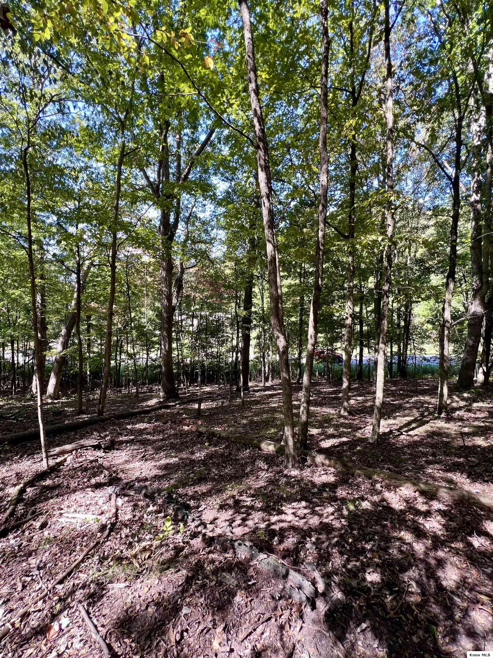 0 Grand Valley Dr. Property Photo 3
