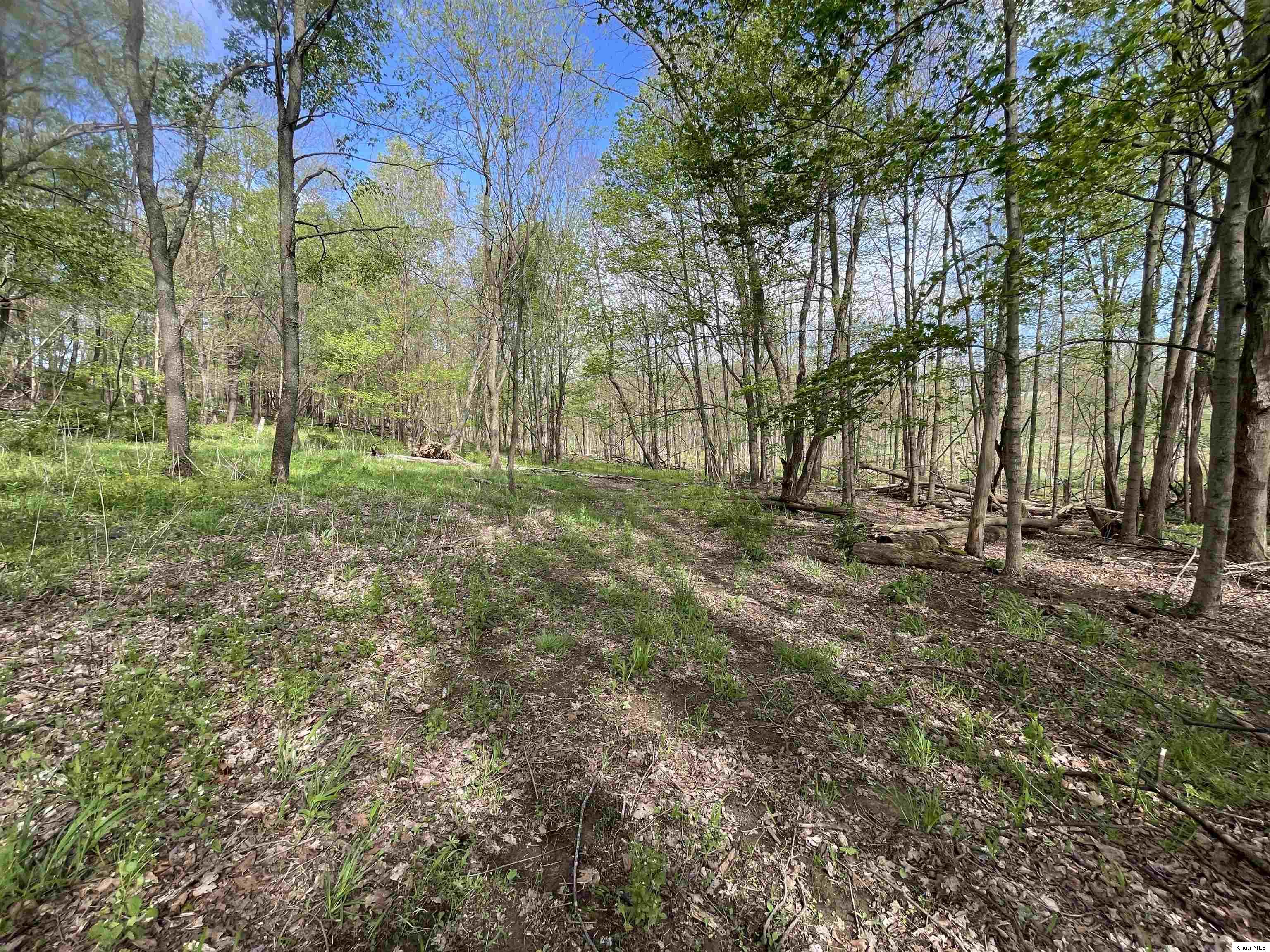 0 Monroe Mills Rd Property Photo 6