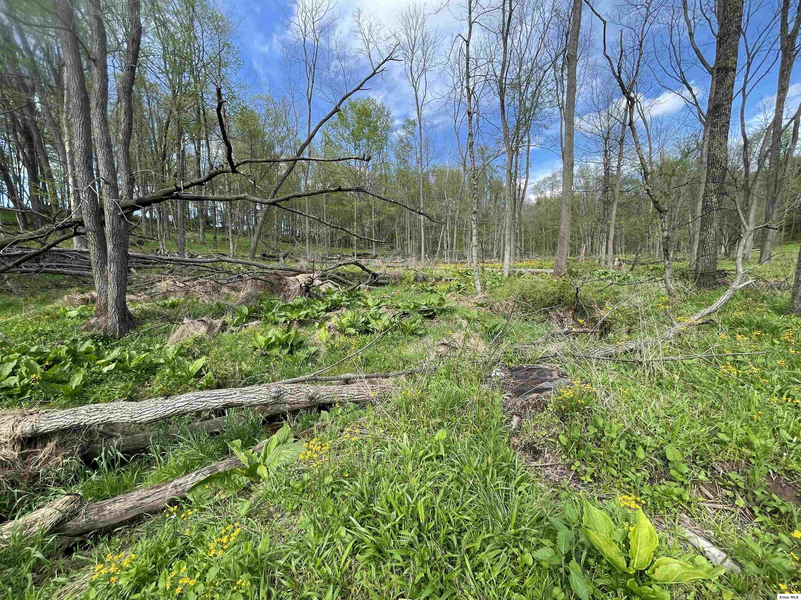 0 Monroe Mills Rd Property Photo 8