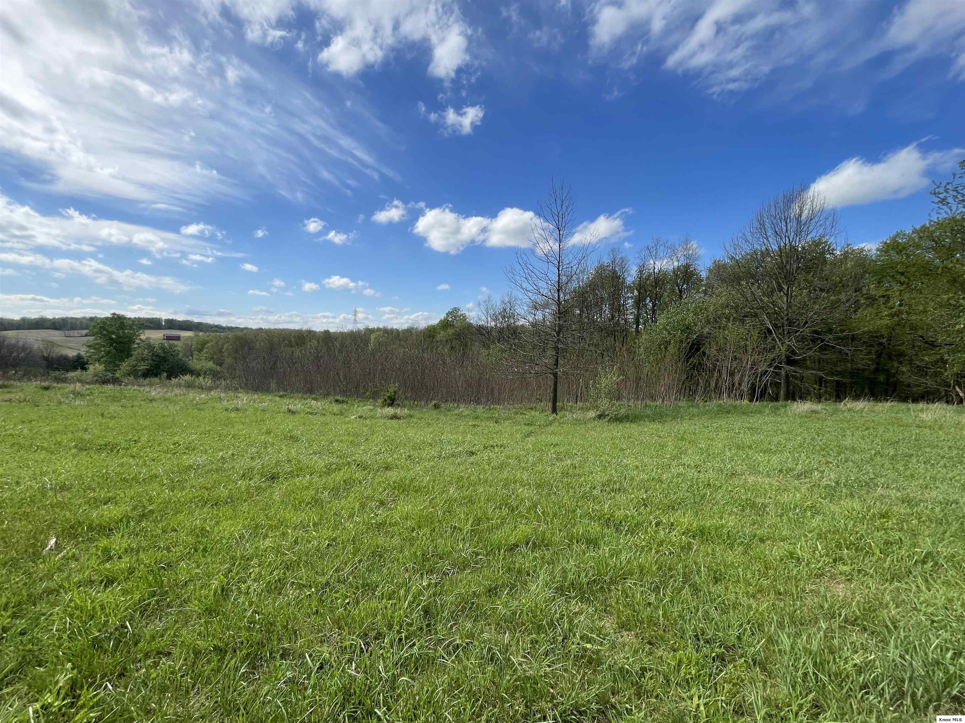 0 Monroe Mills Rd Property Photo 10