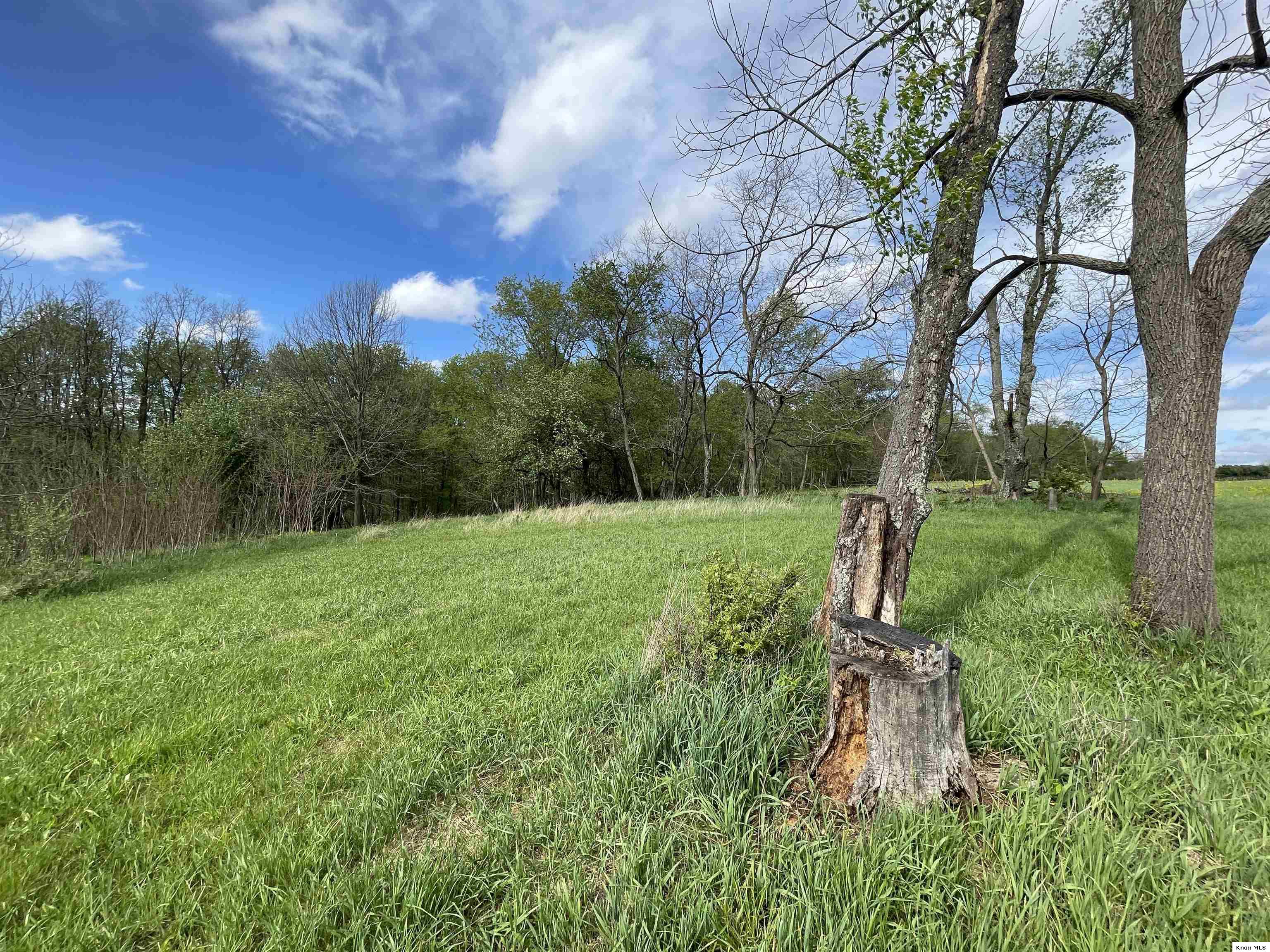 0 Monroe Mills Rd Property Photo 11