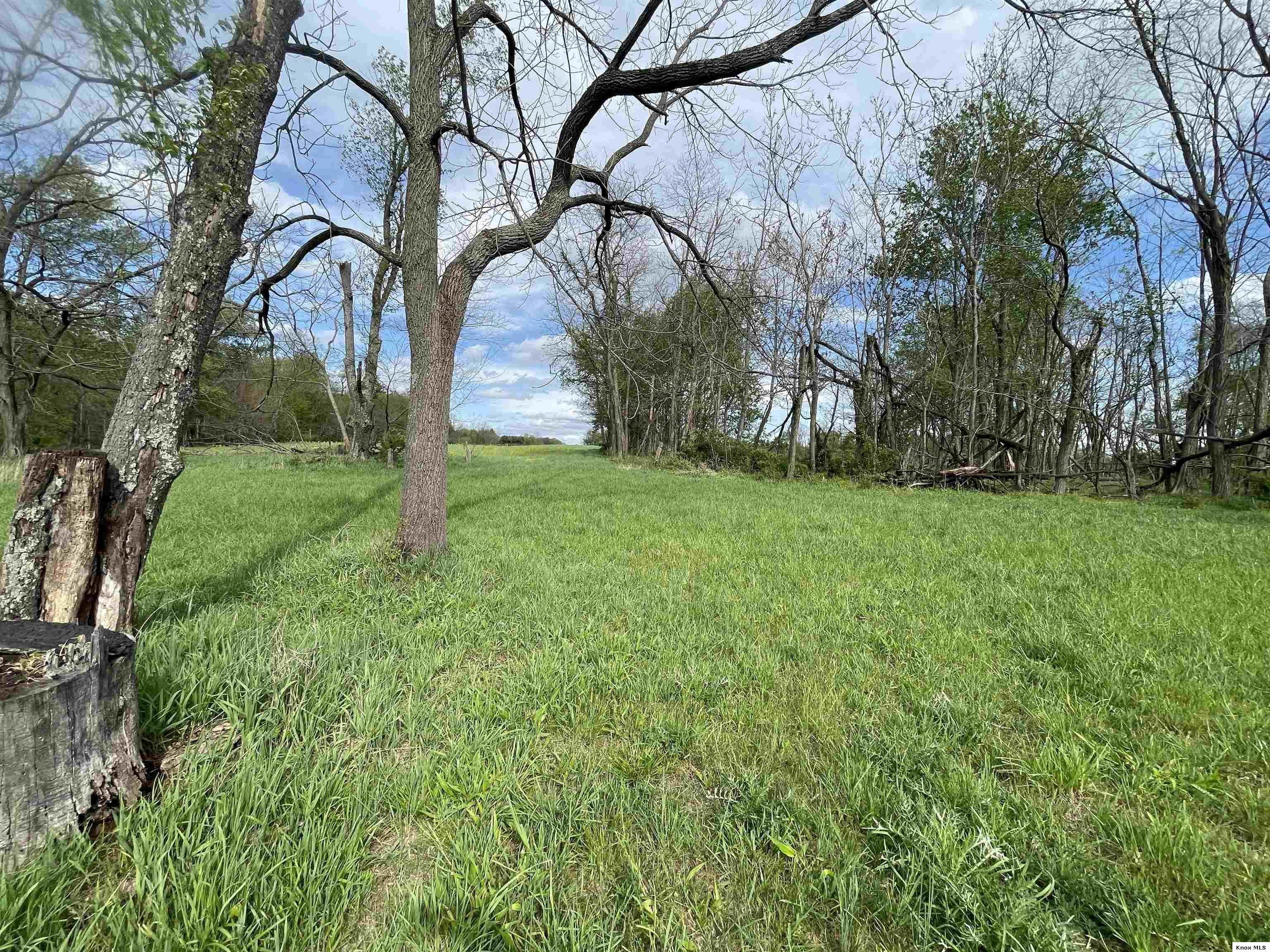 0 Monroe Mills Rd Property Photo 12