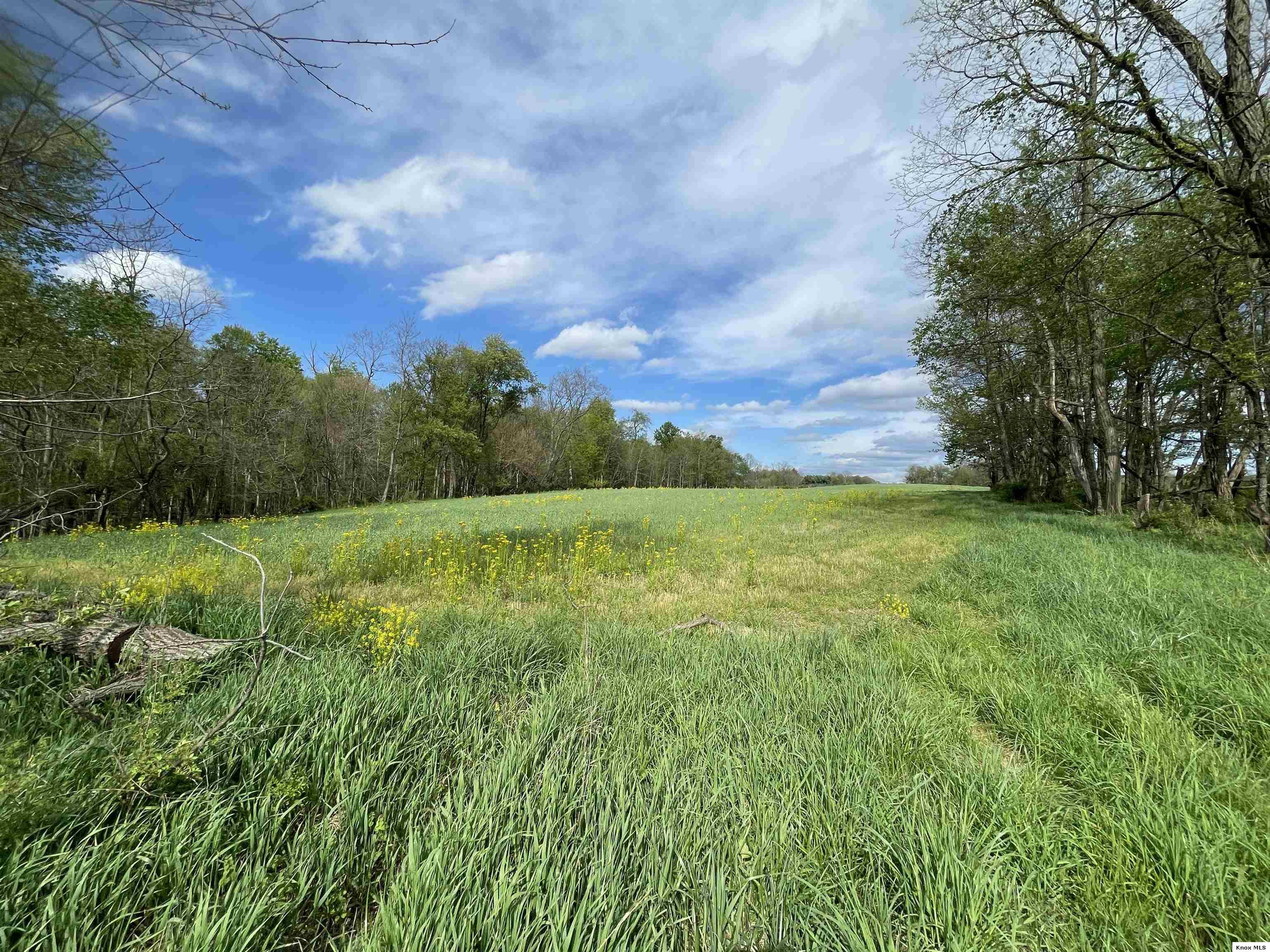 0 Monroe Mills Rd Property Photo 13