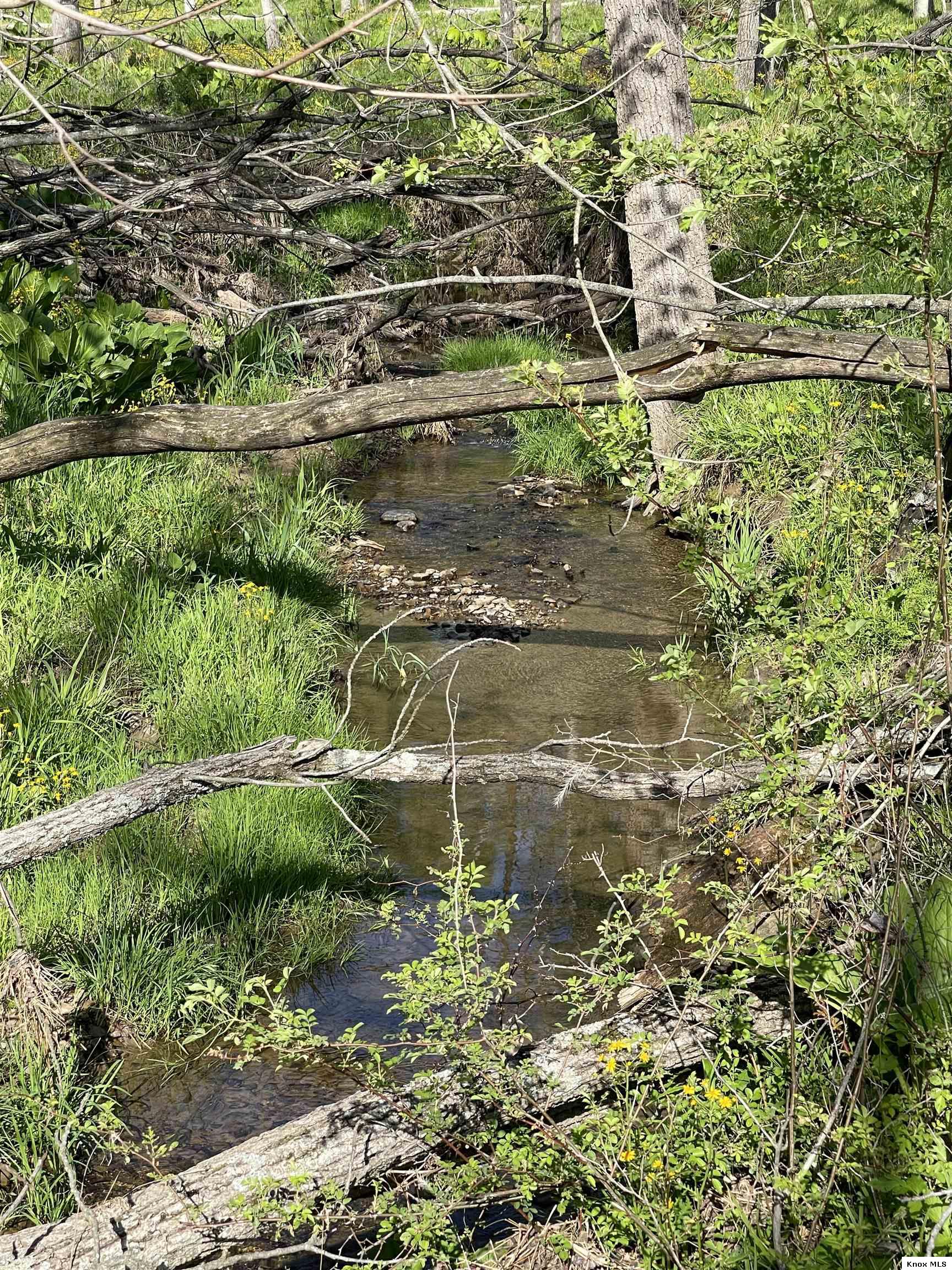 0 Monroe Mills Rd Property Photo 14