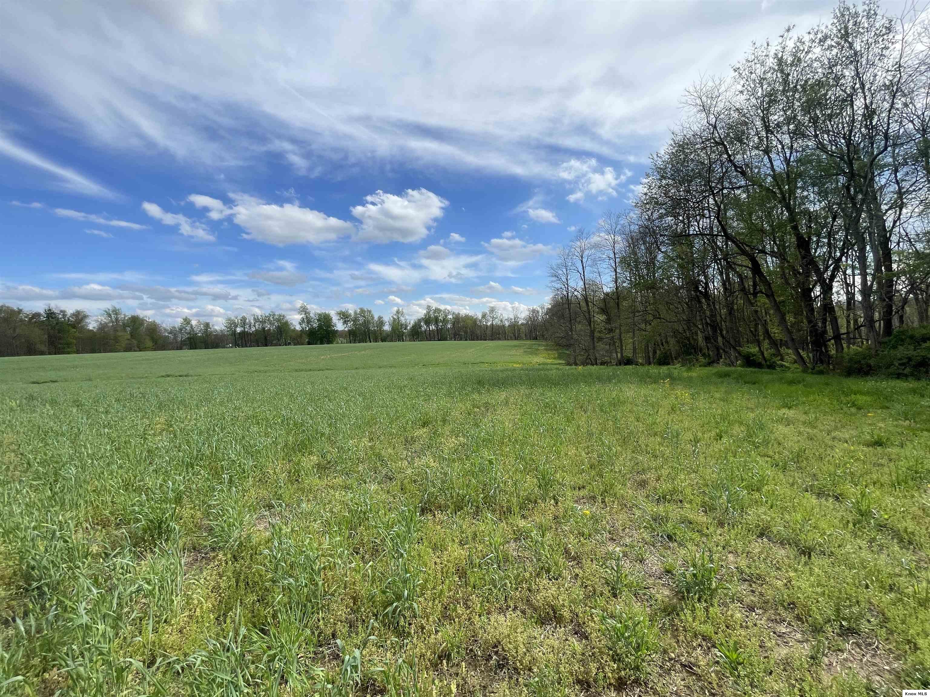 0 Monroe Mills Rd Property Photo 19