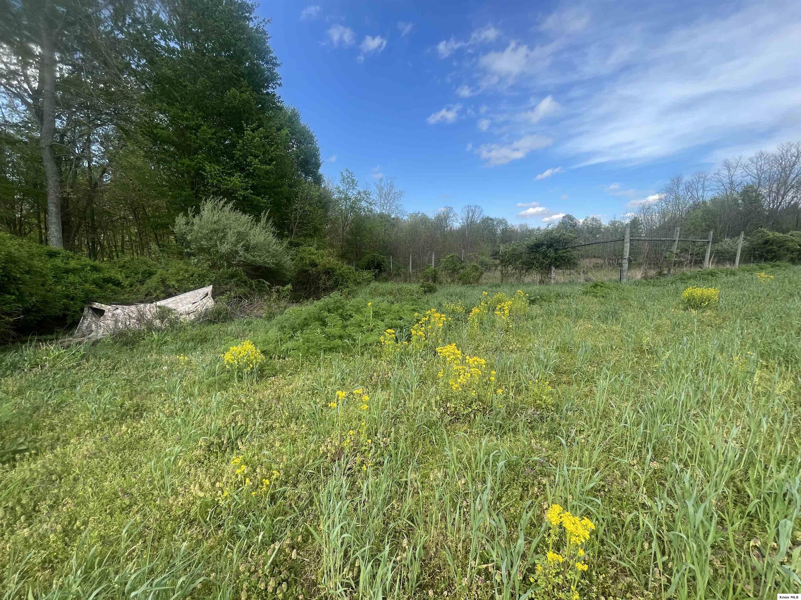 0 Monroe Mills Rd Property Photo 20