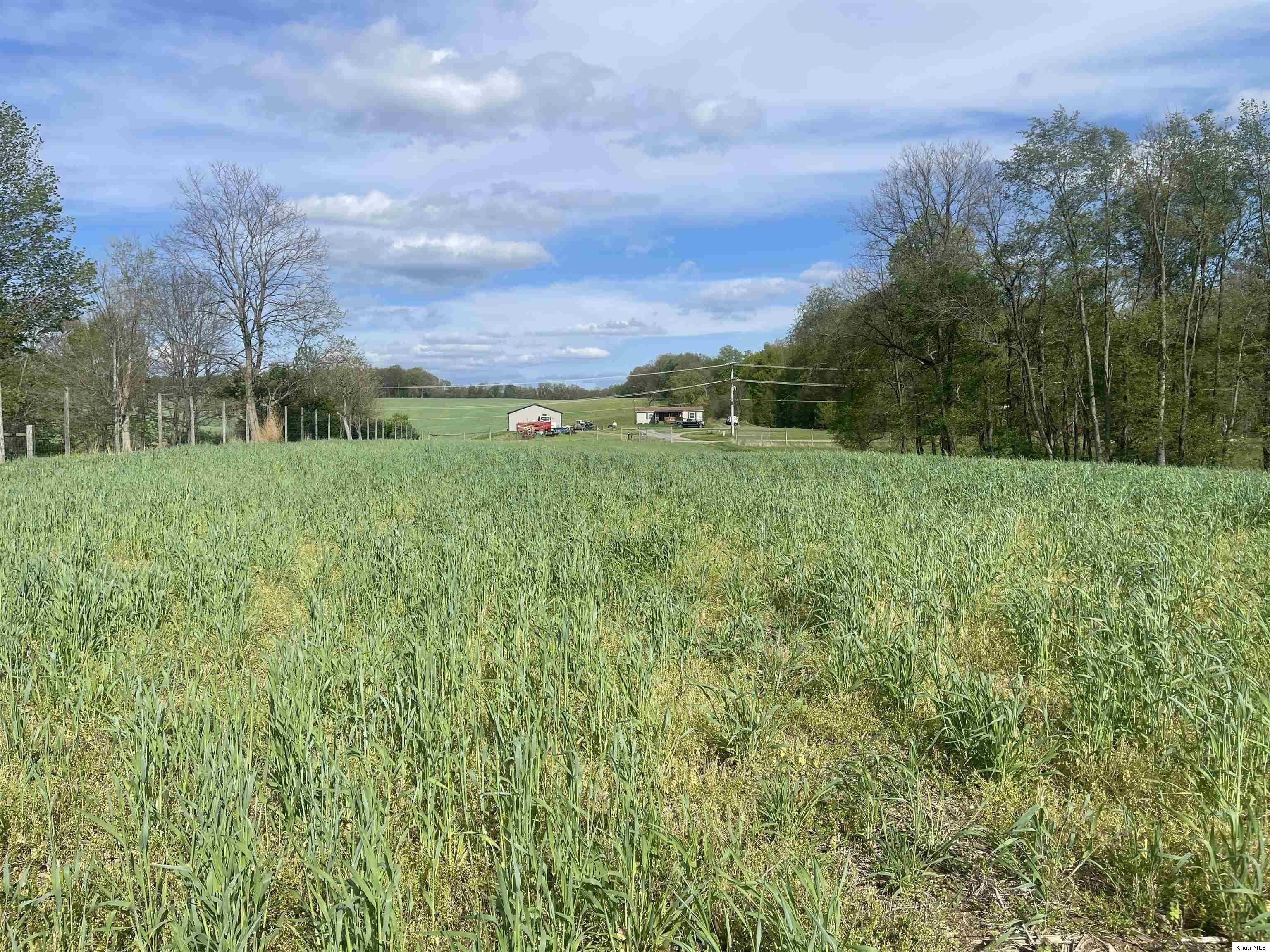 0 Monroe Mills Rd Property Photo 21