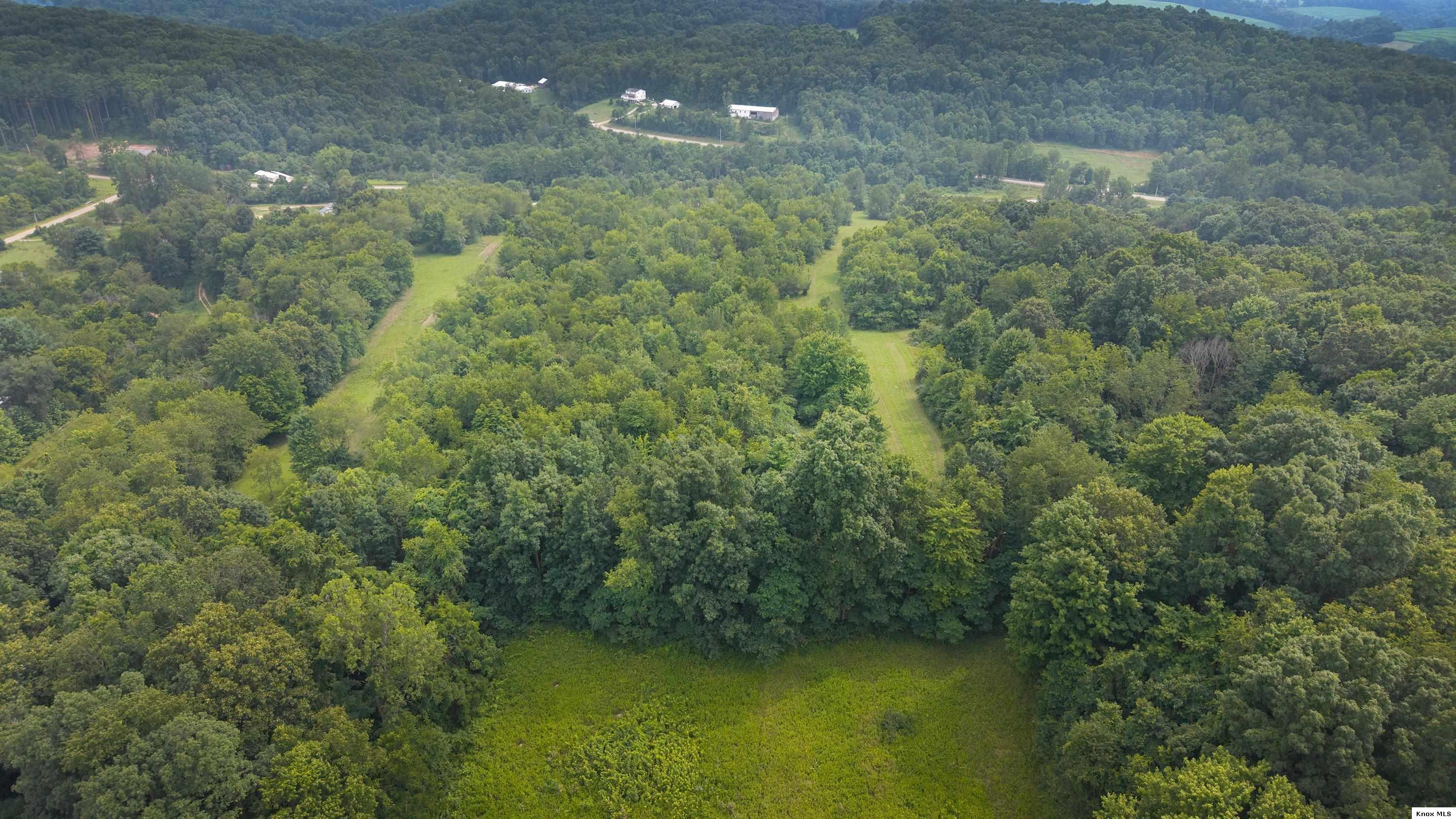 29655 Brush Run Road Property Photo 41