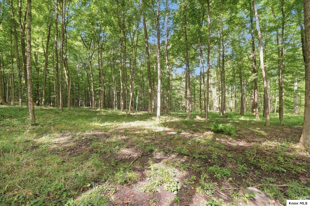 8723 Keys Road Property Photo 54