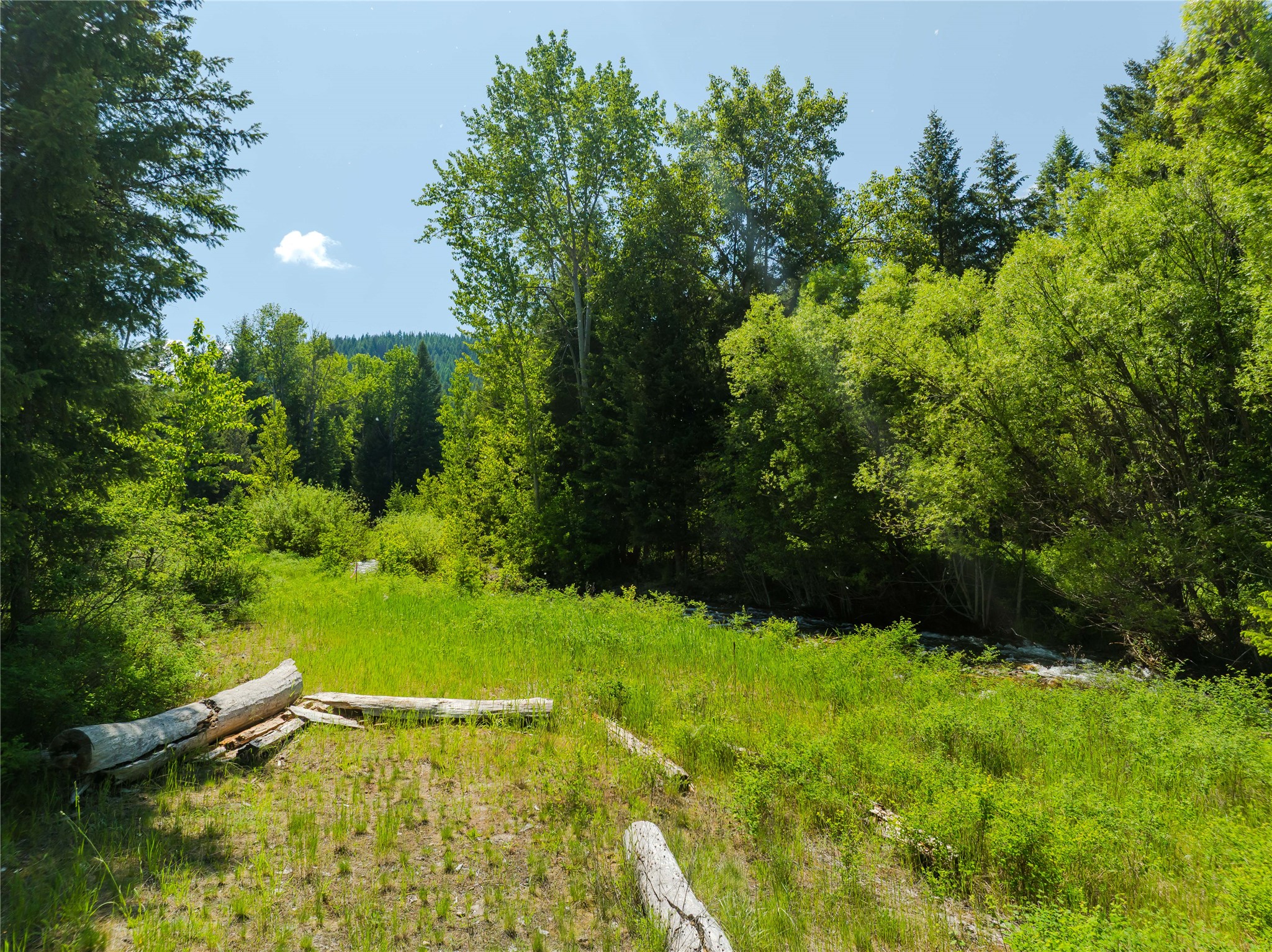 Tbd, Lot 4 Parmenter Road Property Photo 6