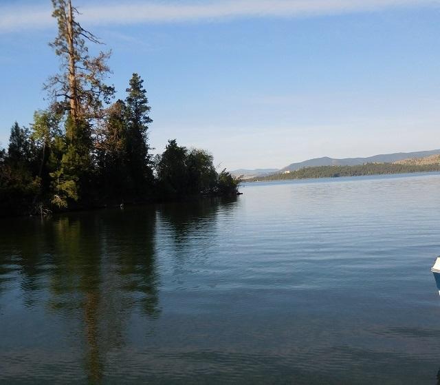 41322 Mello Cove Lane Property Photo 7