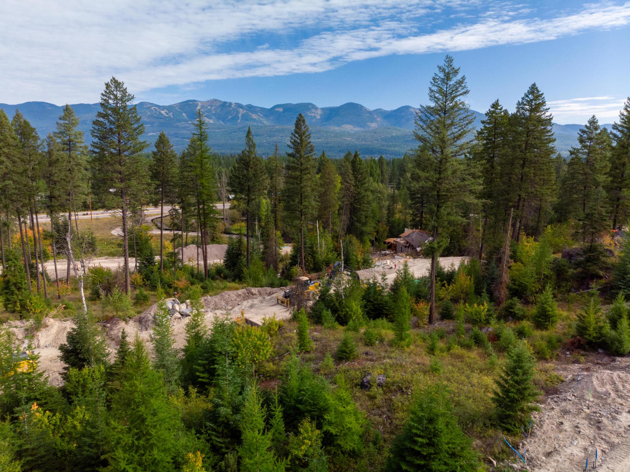 317 Nature's Way Property Photo 11
