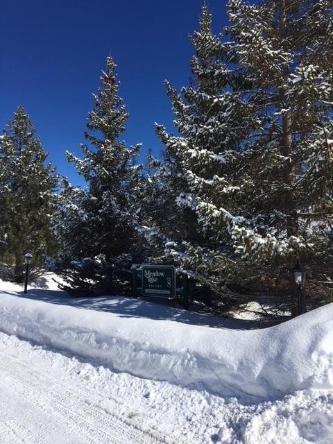 111 Spyglass Hill Loop Property Photo 1