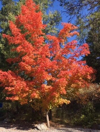 1025 St. Andrews Drive Property Photo 1